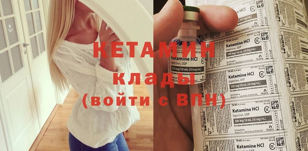 индика Бикин