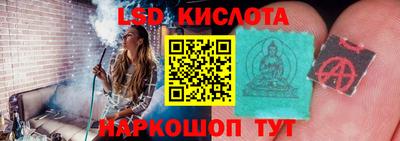 ПСИЛОЦИБИНОВЫЕ ГРИБЫ Нижний Тагил