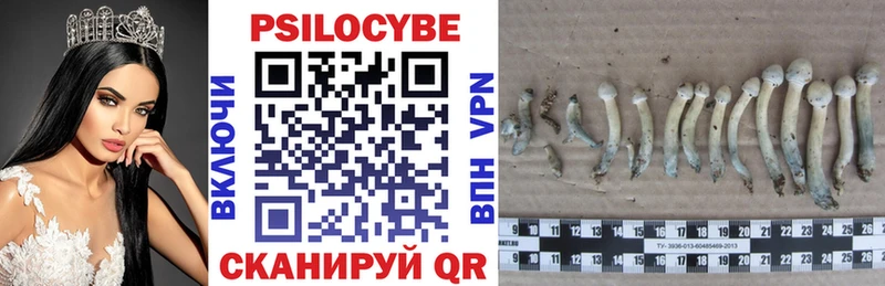 сколько стоит  Тейково  Галлюциногенные грибы Psilocybine cubensis 