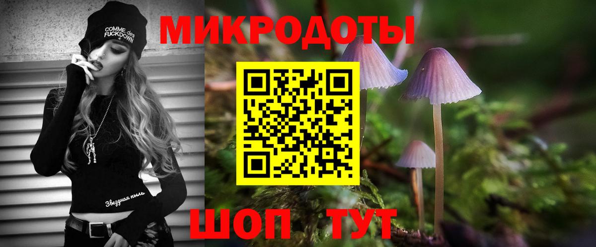 Псилоцибиновые грибы Psilocybine cubensis  Вход с VPN  Тейково 